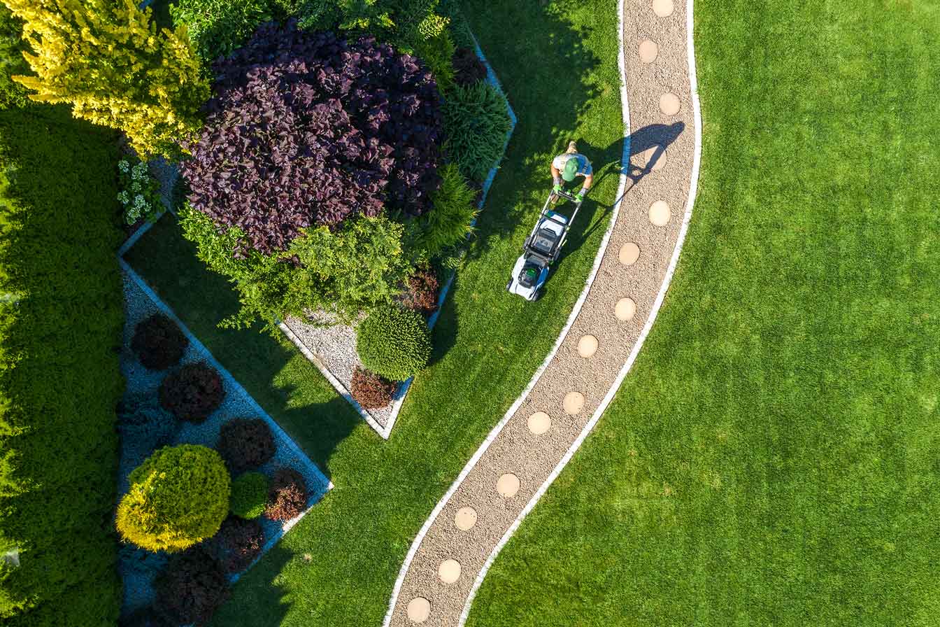 Aerial view of mowed lawn and garden path