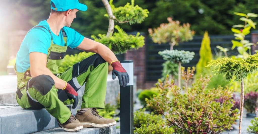Landscaper installing landscape lighting