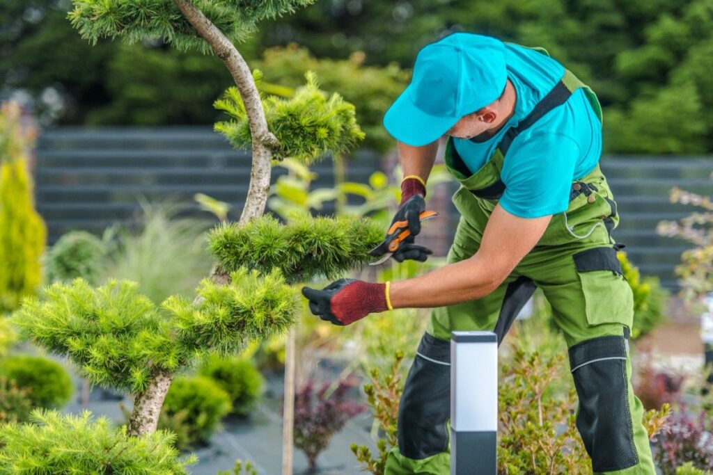 Landscaper trimming shrubs in a backyard garden