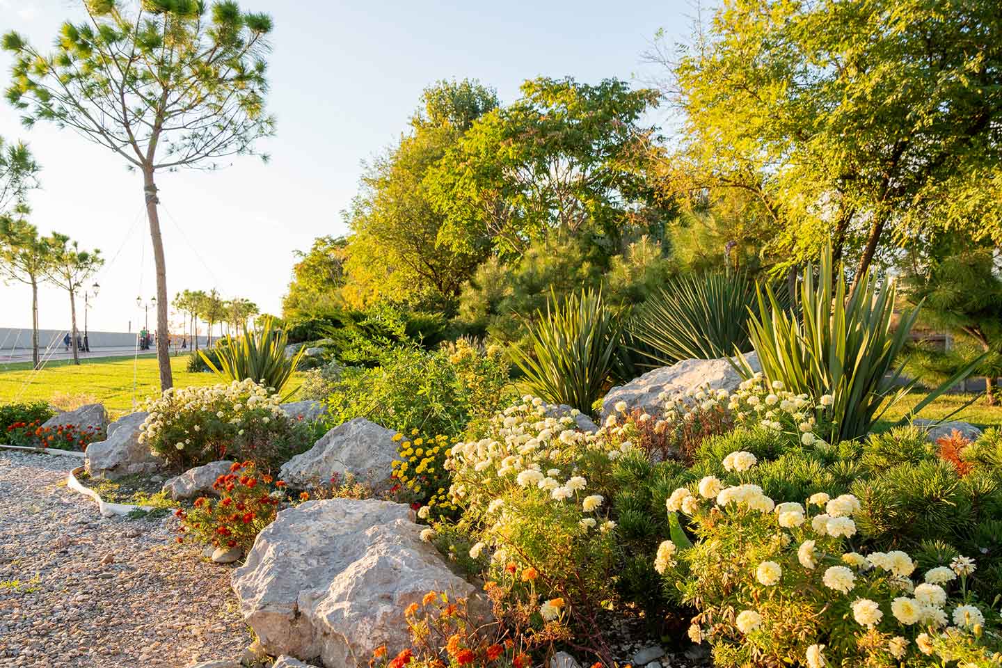 Colorful flower bed with mixed plantings