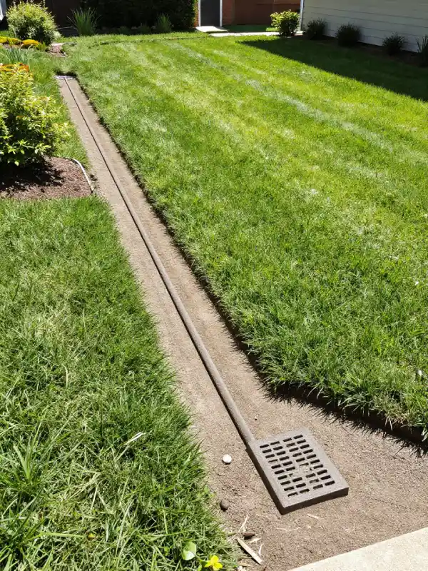 landscape drainage service