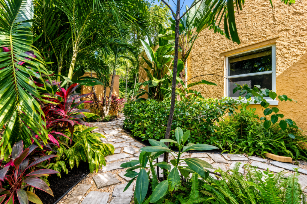 Tropical planting bed along a stucco wall