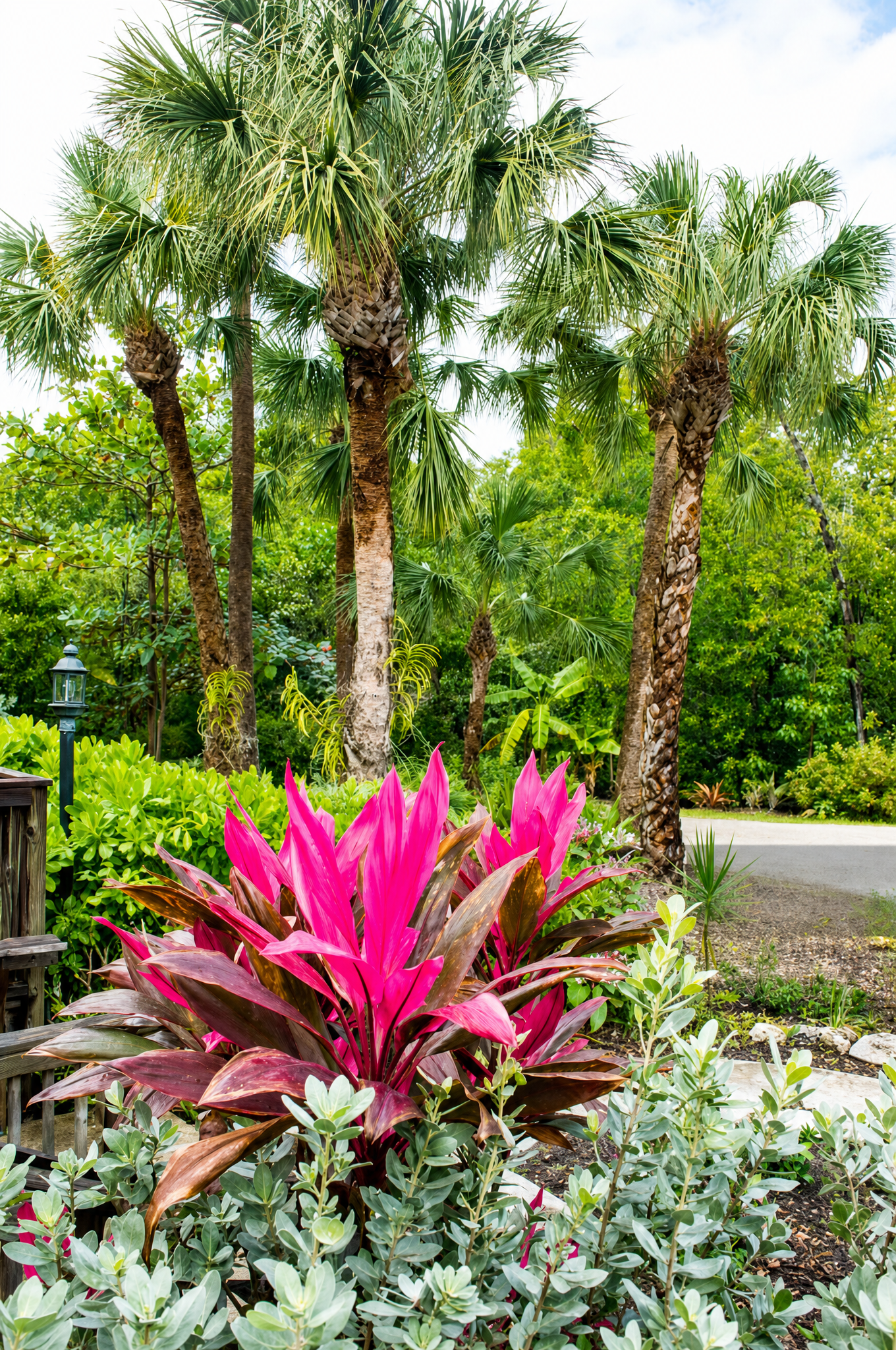 Tropical landscaping with palms and pink bromeliads