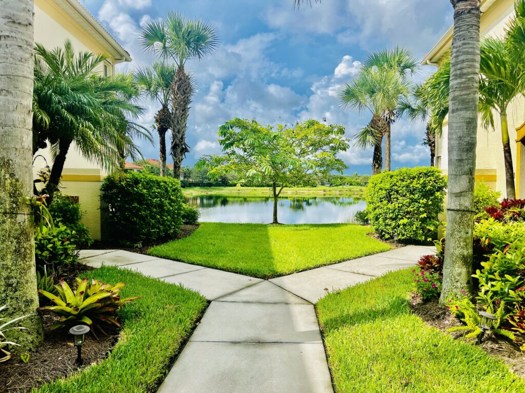 Waterfront backyard with paver path and palms